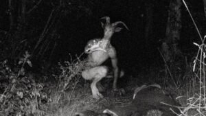 Verdade Obscura sobre O CARNEIRO em 99 Noites na Floresta